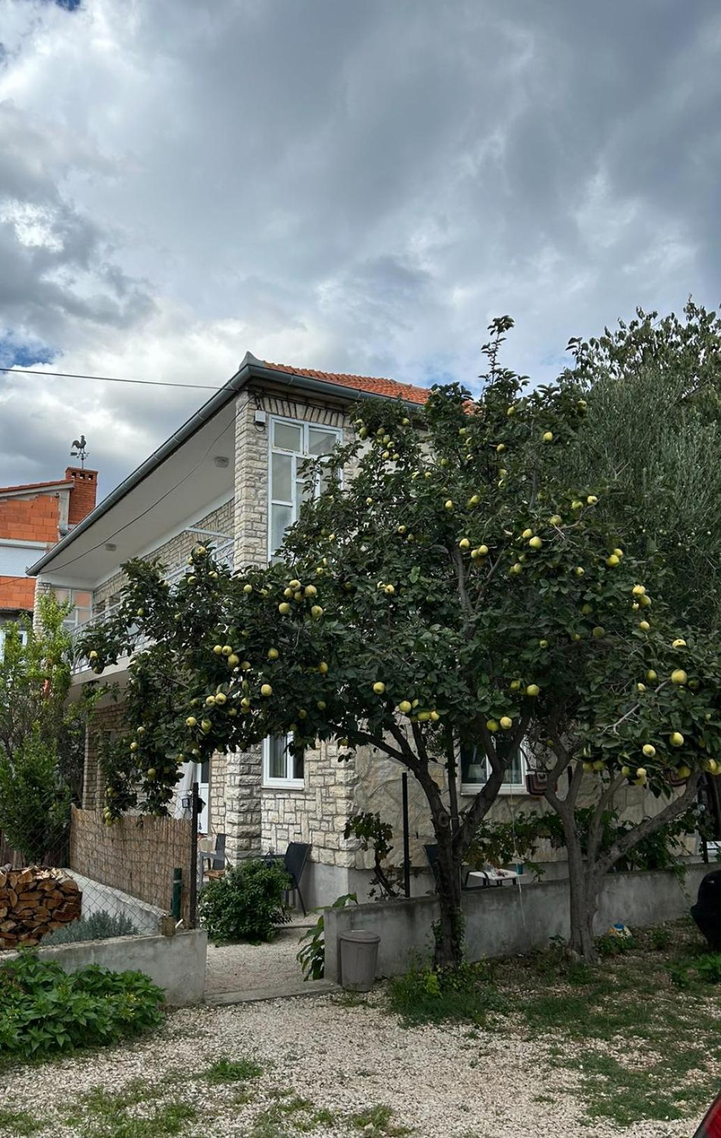 Villa Jadran Zara Esterno foto